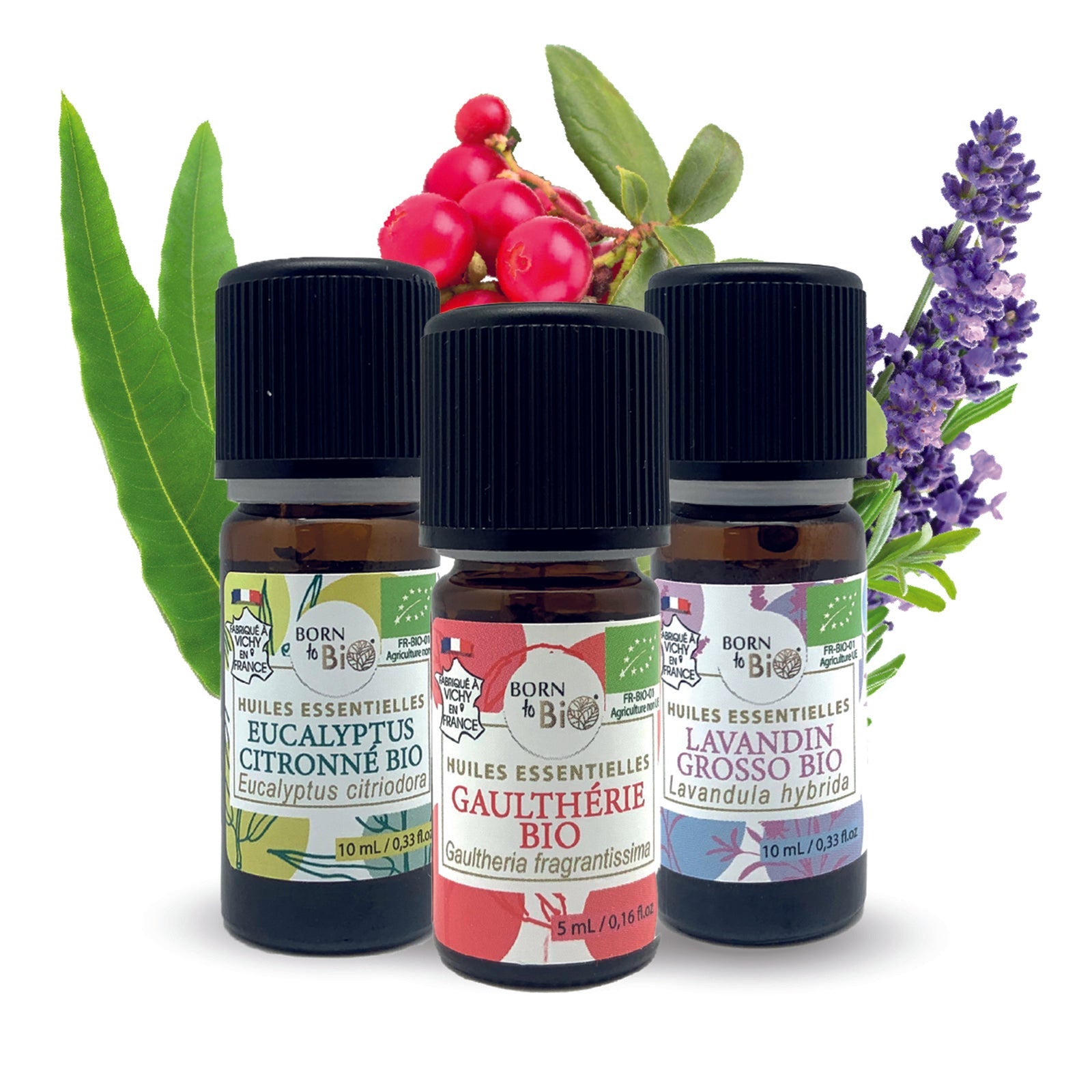 Coffret thématique sport