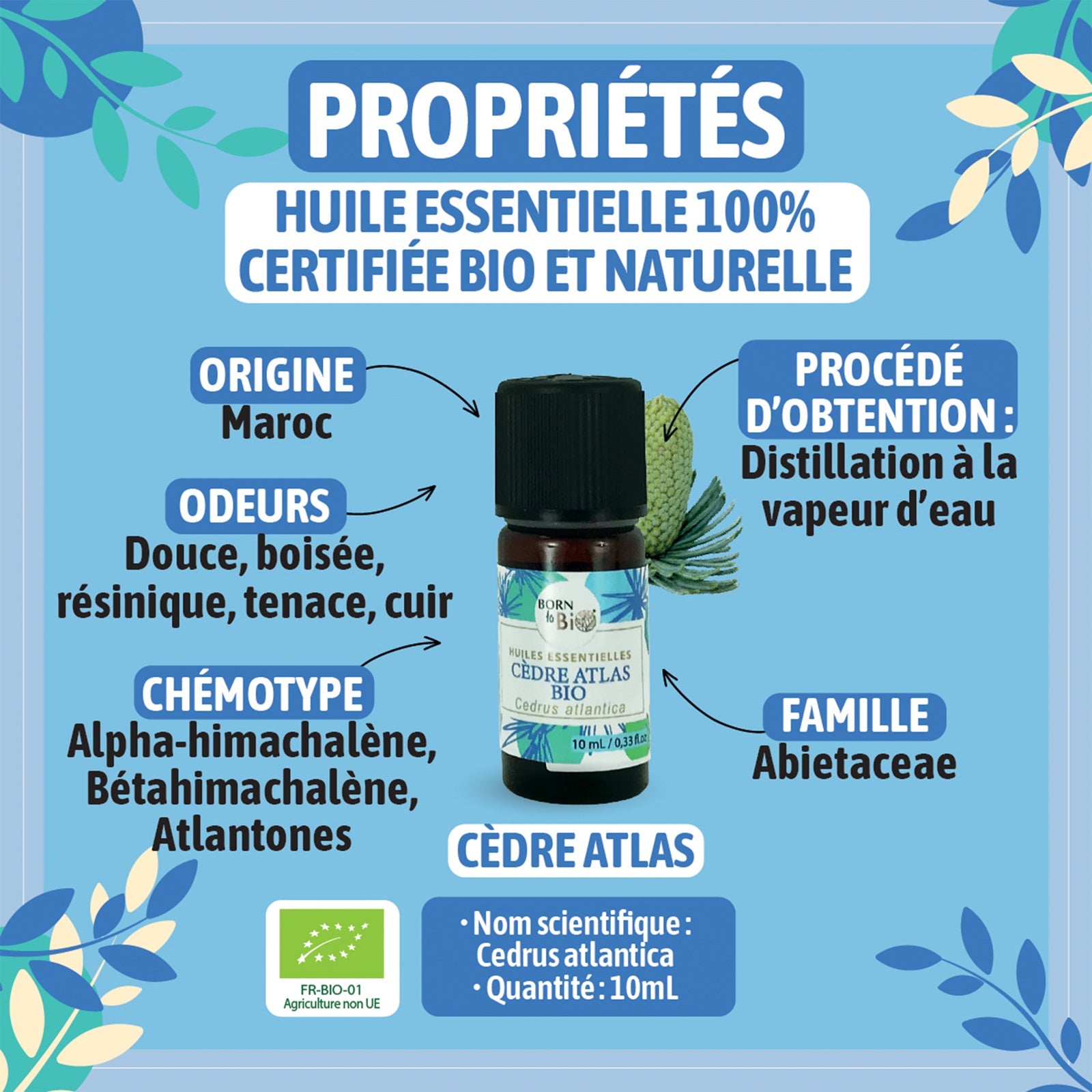 Huile essentielle Cèdre Atlas Certifiée Bio