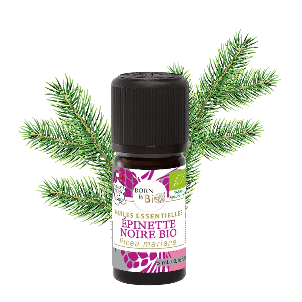 Huile essentielle Épinette noire Certifiée Bio