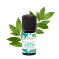 Huile essentielle Laurier noble Certifiée Bio